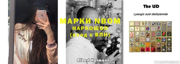 ГАЛЛЮЦИНОГЕННЫЕ ГРИБЫ Алзамай