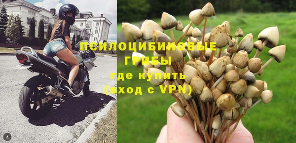 a pvp Алексеевка
