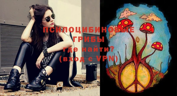 ГАЛЛЮЦИНОГЕННЫЕ ГРИБЫ Алзамай